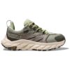 Anacapa Low GORE-TEX ‘Verde semilla de cebada’