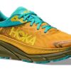 Challenger ATR 7 GORE-TEX ‘Aguacate Amarillo Dorado’
