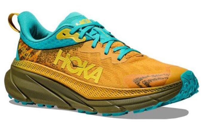 Challenger ATR 7 GORE-TEX ‘Aguacate Amarillo Dorado’