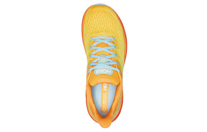 Clifton 8 ‘Maíz Amarillo Radiante’