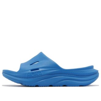 Diapositiva 3 de Ora Recovery ‘Diva Blue’
