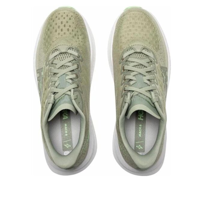 Mach 6 ‘Liquen del bosque’