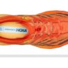 Speedgoat 5 ‘Picadura de frailecillo, color ámbar amarillo’