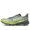 Speedgoat 6 GTX ‘Pizarra Aloe Vera’
