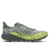 Speedgoat 6 GTX ‘Pizarra Aloe Vera’