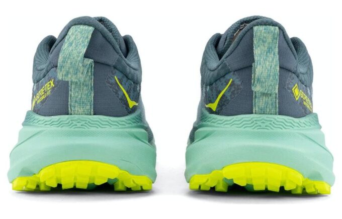 (WMNS) Challenger ATR 7 GTX ‘Verde Balsam Trellis’